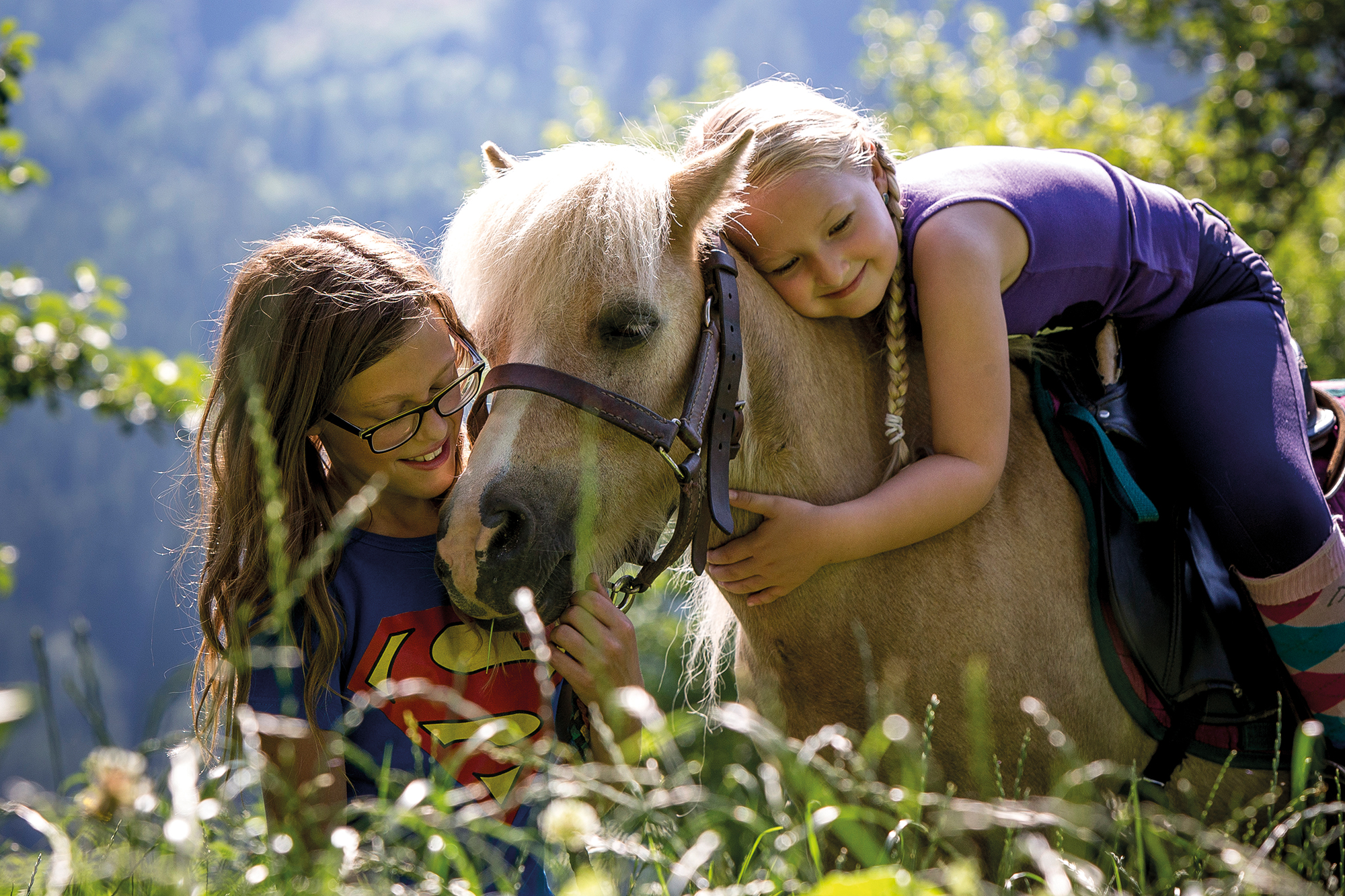 Reiten, Reitstunden, Reithalle am Olachgut, Murau-Kreischberg Reiten, Reitstunden, Reithalle am Olachgut, Murau-Kreischberg